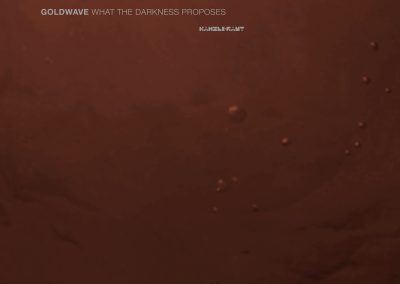 GOLDWAVE What The Darkness Proposes